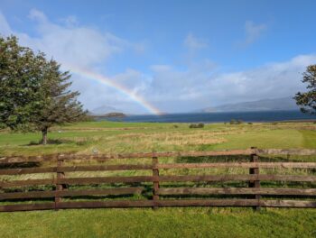 Mental Health Myths Debunked: What Therapy Actually Does